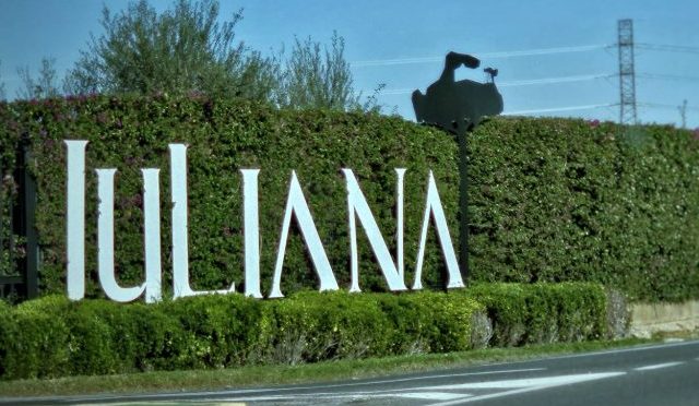 Acta Asamblea General Ordinaria de 2024