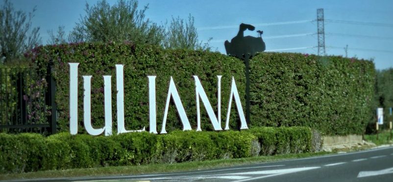 Acta Asamblea General Ordinaria de 2024